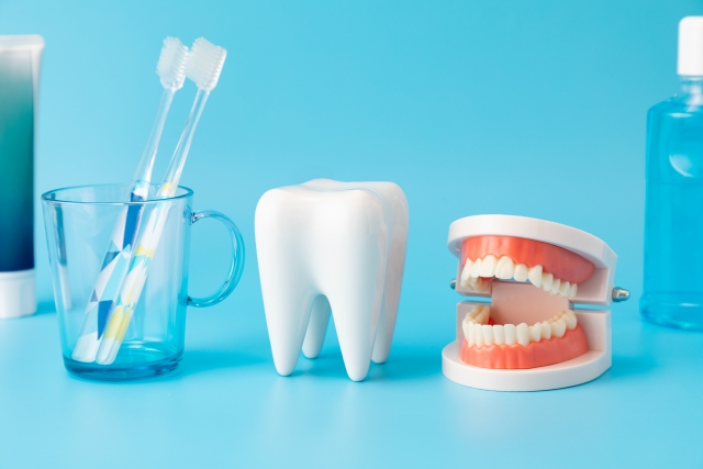 歯磨きを大切に